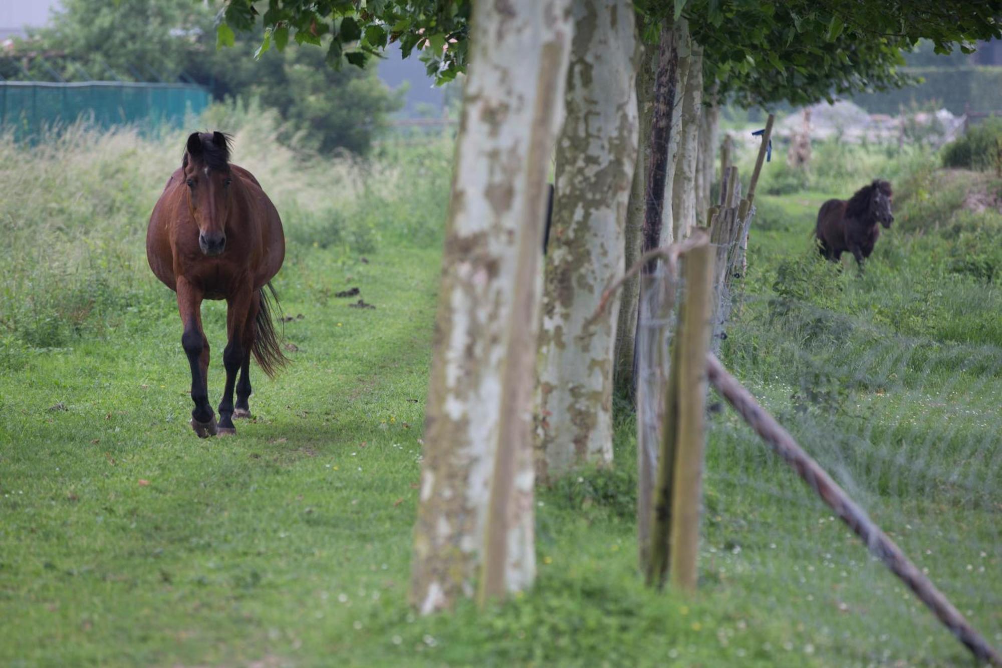 Boutique Hotel Het Zoete Zijn Borgloon Eksteriør bilde